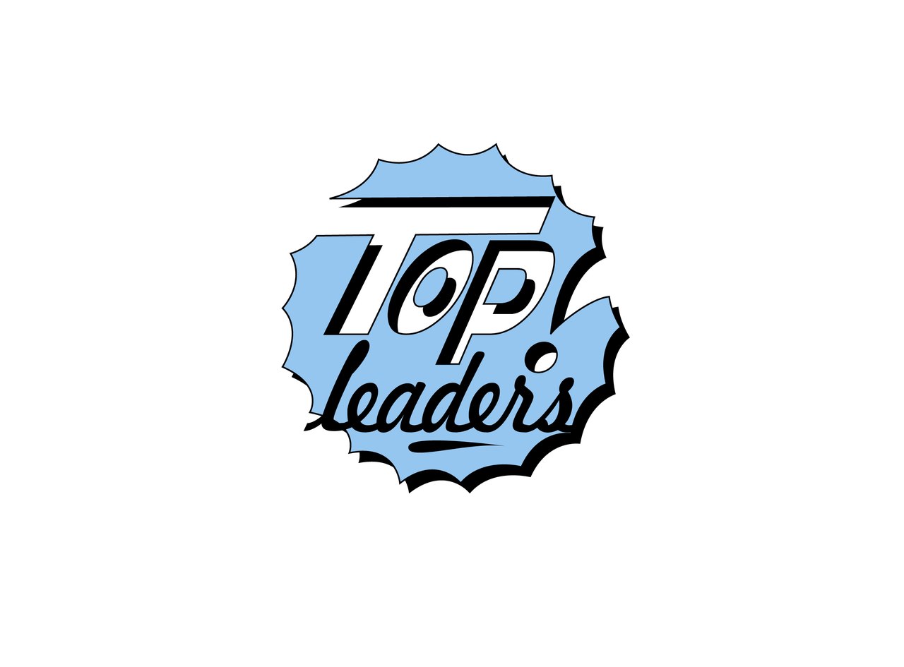 компания Topleaders