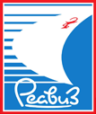 компания РЕАВИЗ