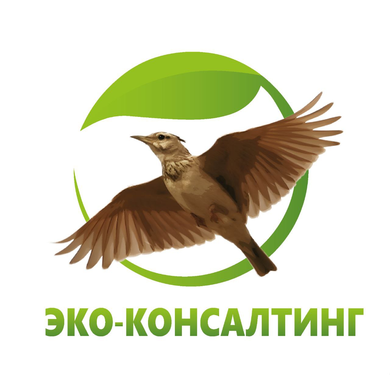 ООО ЭКО-КОНСАЛТИНГ