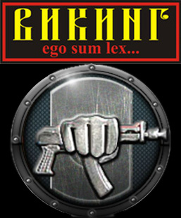 компания ЧОП "Викинг"